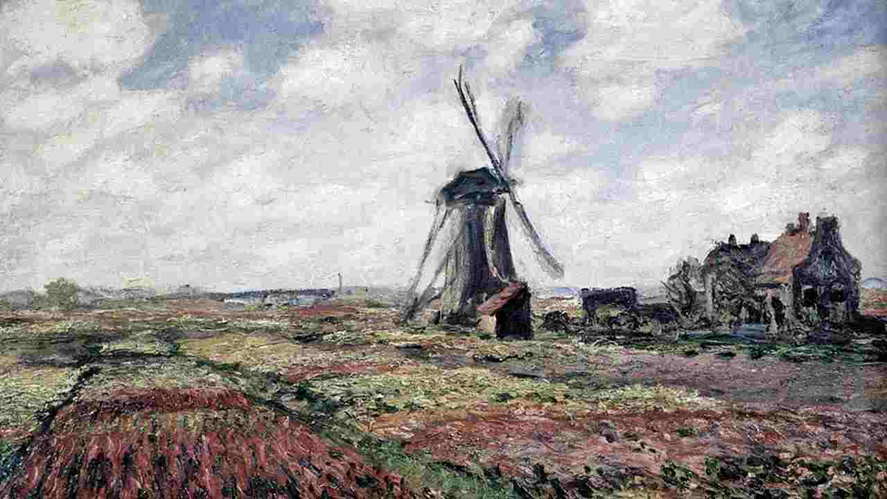 20 Things You Should Know About Echinacea HPV Best Multivitamin For HPV